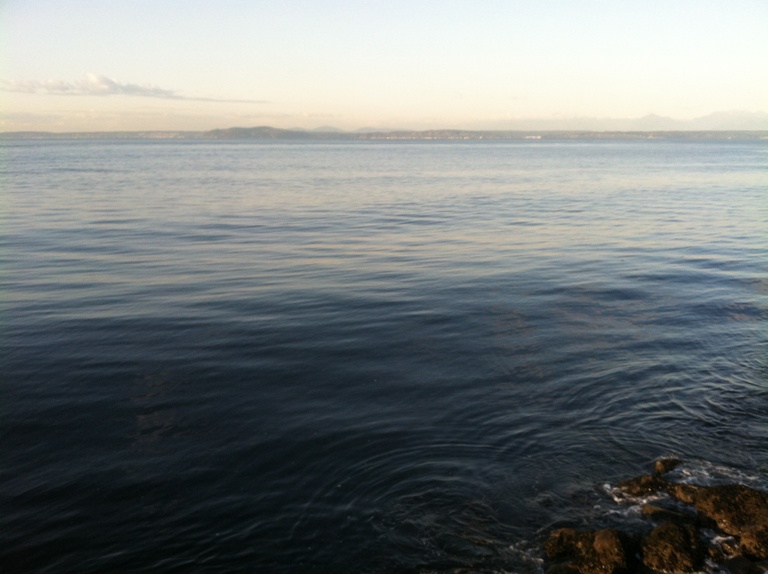 Photo of Seattle's Elliott Bay