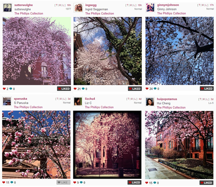 Instagram floral photos