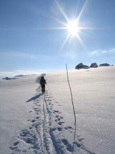 Cross-country Skiing in Norway. Photo: Lars Verket/MFA.